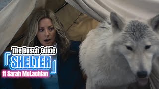 The Busch Guide | &#39;Shelter&#39; | ft Sarah McLachlan