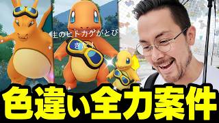 神コラボ開始！ヒトカゲ！リザードン！色違い背景を全力でゲットするぞ！タスク＆野生＆レイドを全部やるぞ！【ポケモンGO】