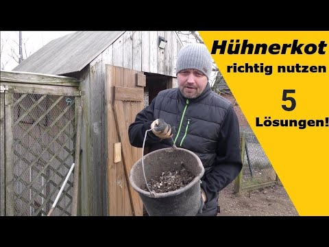 5 geniale Anwendungen für Hühnerkot – So nutzt du ihn sinnvoll!