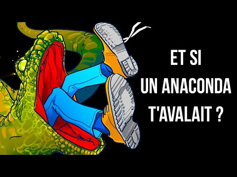 Et Si Tu Te Faisais Avaler Par Un Anaconda