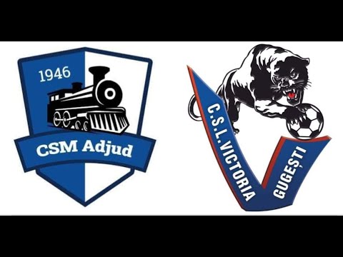 Fotbal L 4@ SDV TV RIKORA   CSM Adjud - Victoria Gugesti