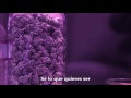 Wiz khalifa   Medicated al español