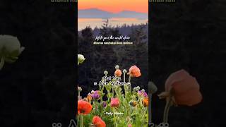 Download lagu Lirik lagu not you-Alan walker 🥰🌿 #shorts #storywa mp3