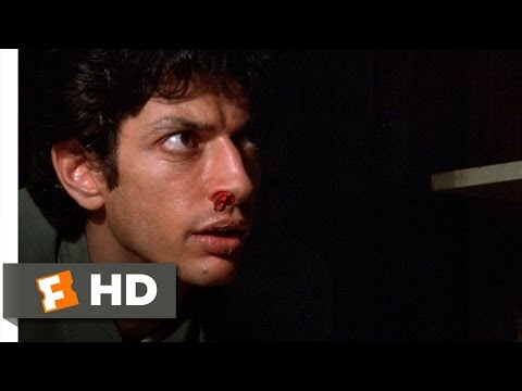 Invasion of the Body Snatchers (2/12) Movie CLIP - Examining a Pod Body (1978) HD