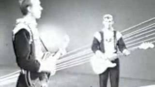 The Spotnicks Johnny Guitar