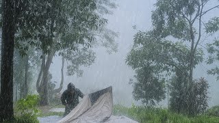CAUGHT IN MONSOON RAIN‼️SOLO CAMPING in HEAVY RAIN WITH TAAPEE TENT Hot