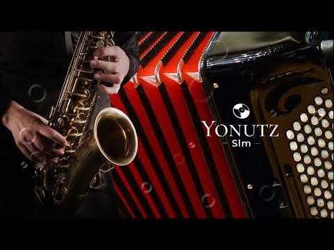 Hora Lautareasca 💥 Acordeon si Saxofon 2023 @YonutzSlm