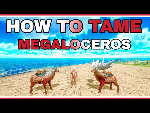HOW TO TAME MEGALOCEROS ARK MOBILE