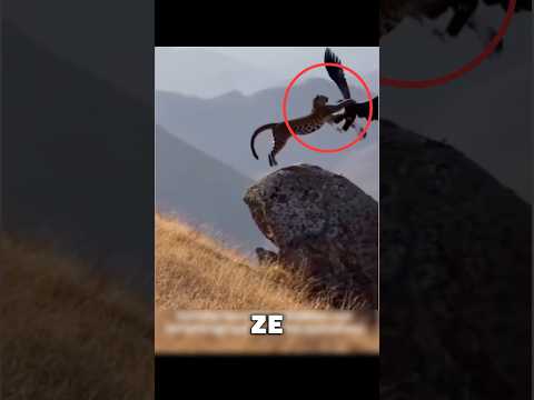Najbardziej niewiarygodne momenty ze świata zwierząt 🫢😱 #shortyoutube