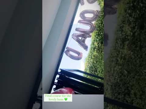 byM&ouml;lly video.