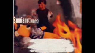 Samiam- She&#39;s A Part Of Me