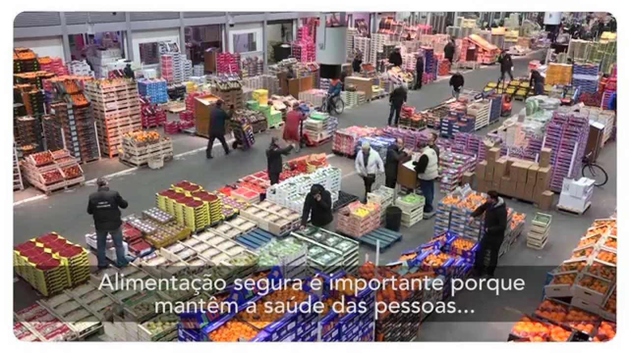 OMS: Dia Mundial da Saúde 2015, Segurança Alimentar - visão global