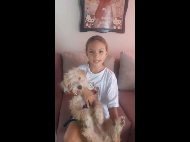 Video 9