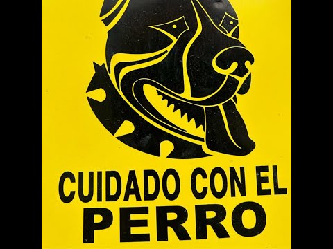 DEPELICULA - ARDO440