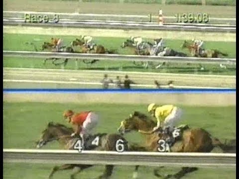 1994 San Luis Rey Stakes