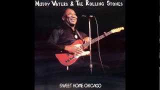 Muddy Waters & The Rolling Stones Hoochie Coochie Man