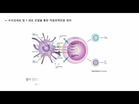 면역학 실험실 소개 대표이미지