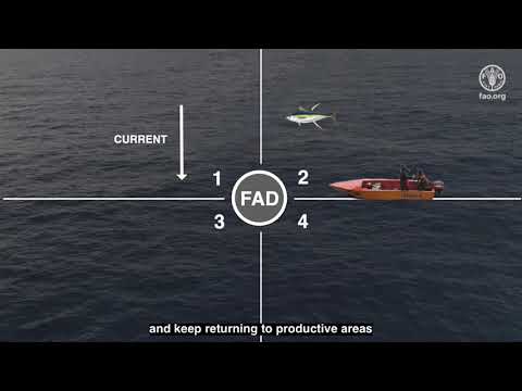 FAD Fishing Techniques, a guide for fishing anchored FADs in the Pacific