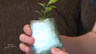 Miniatura do vídeo
