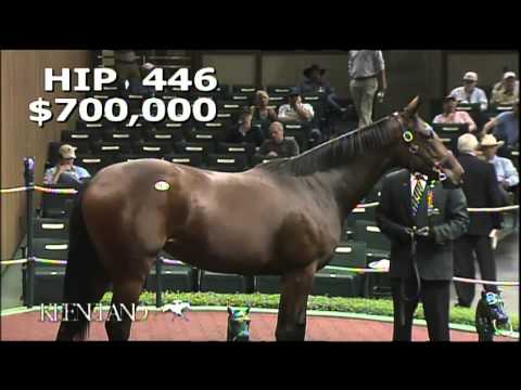 2013 September Yearling Sale - Hip 446, Tiznow-Silken Cat filly