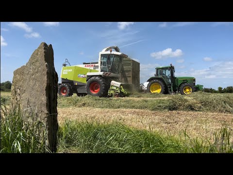 THE BADGERS HOLE 🦡