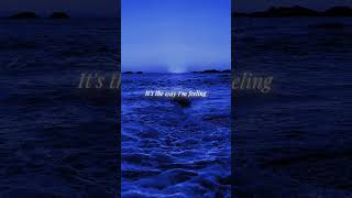 Untitled video