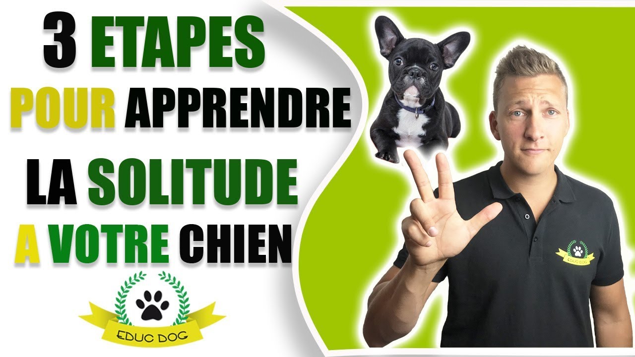 LES 3 ÉTAPES POUR APPRENDRE A VOTRE CHIEN A RESTER SEUL ??