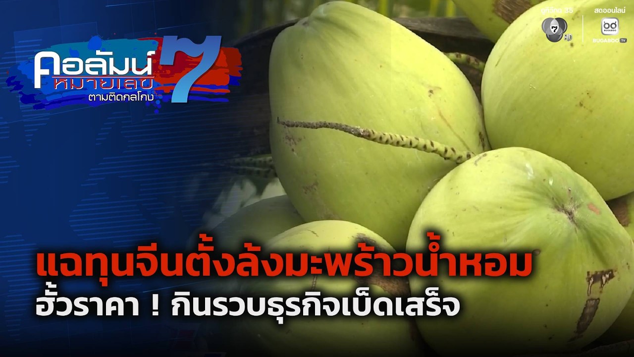 คอลัมน์หมายเลข 7 : แฉทุนจีนตั้งล้งมะพร้าวน้ำหอม ฮั?