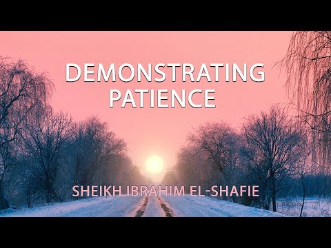 Demonstrating Patience - Sheikh Ibrahim El-Shafie