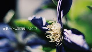 - 春愁/Mrs. GREEN APPLE 歌ってみた いゔどっと
