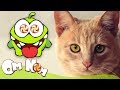 Om Nom Stories - Om Nom and Cat | Cut the Rope