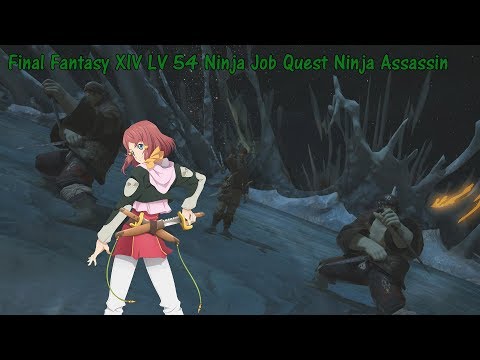 Final Fantasy XIV LV 54 Ninja Job Quest Ninja Assassin