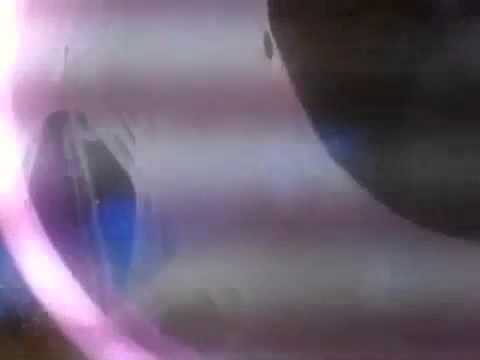 Clownfish Breeding : Eggs To Fry In 10 Days