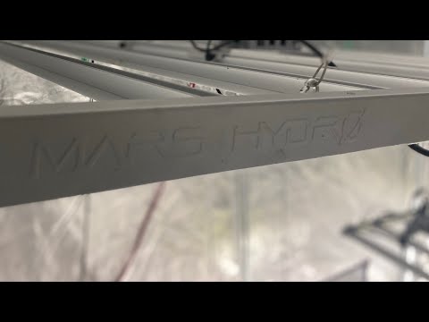 Mars Hydro FC-6500 LED grow light after the grow review