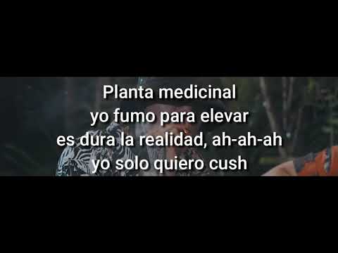 SANTA FE KLAN FT. BUBASETA - PLANTA MEDICINAL //(LETRA) | VIDEO HD
