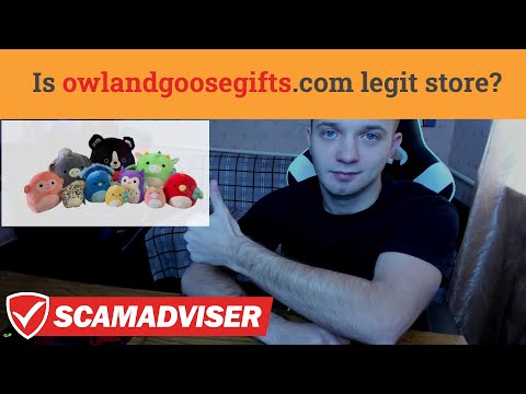 Owlandgoose