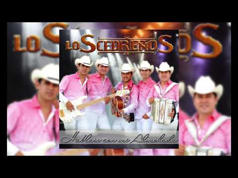 POPURRI MALPENSADO - LOS CEDREÑOS