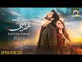 Humrahi Episode 25 15th June 2026 Danish Taimoor Hiba Bukhari Geo TV Drama Review