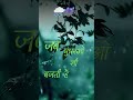 Rain ️ Rain WhatsApp Status Shorts Rainstatus Oldhindisongs Rain Kishorekumar