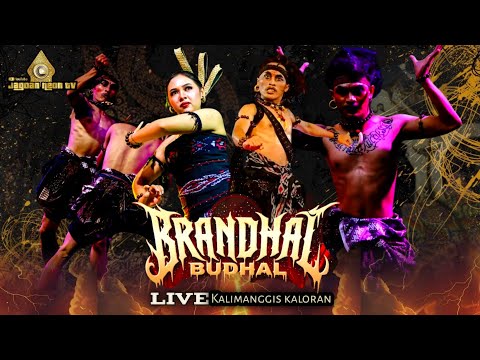 T.A.M 🔥TURONGGO ARGO MULYO -BRANDAL BUDAL -LIVE KALIMANGGIS KALORAN 