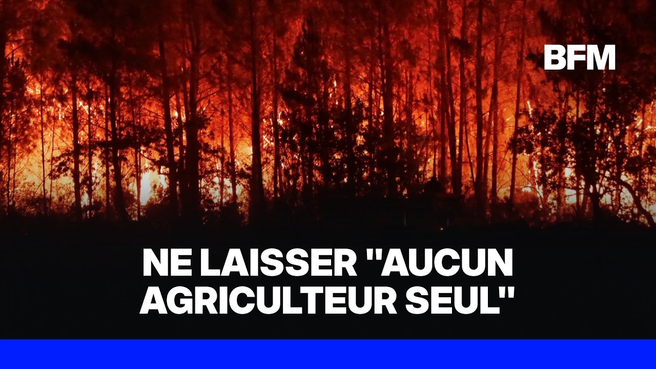 Canicule, sécheresse, incendies: un plan gouvernemental pour ne laisser "aucun agriculteur seul"