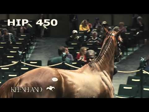 Keeneland November Sale Day 2 Recap