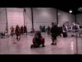 Ice Dragon 09 Lord Stevan V Count Duncan