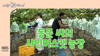 [나는농부다 260회] 동준 씨의 샤인머스캣 농장