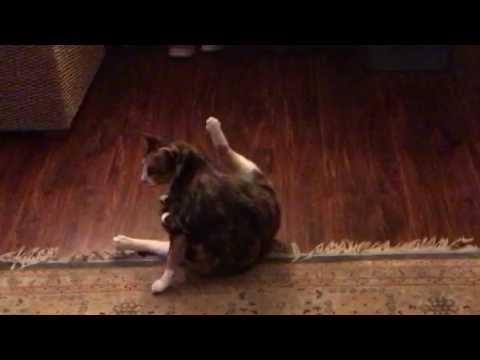 Well that's not "lady like"