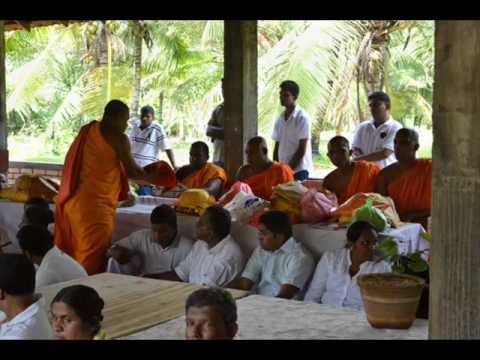 Marukathare Minispure Kothanaka Wewa