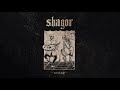 Shagor - Schemerzever (Track Premiere)