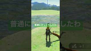 【#ゼルダの伝説ティアーズオブザキングダム 】普通にびっくりした