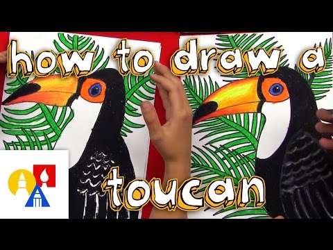 How To Draw A Realistic Toucan