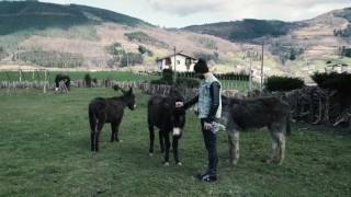 Charlie&The Colours: The Garden Live Rural Sessions